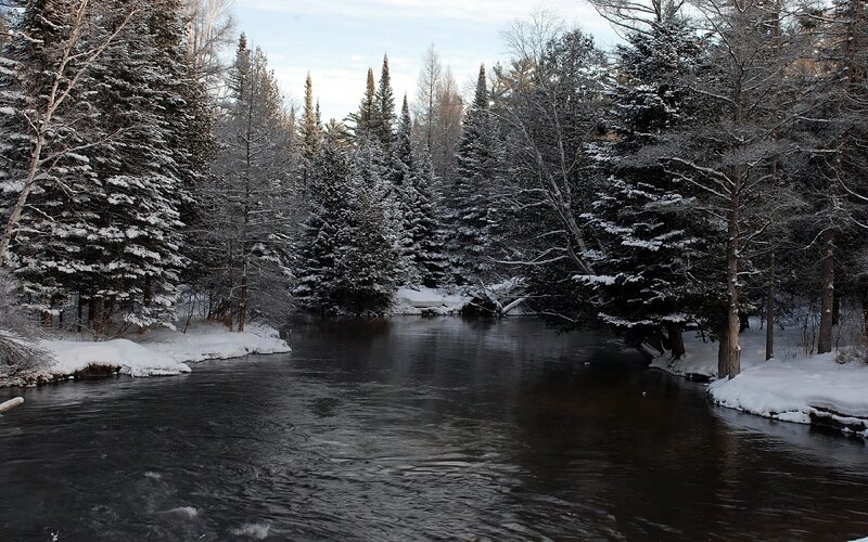 snowy river in winter forest