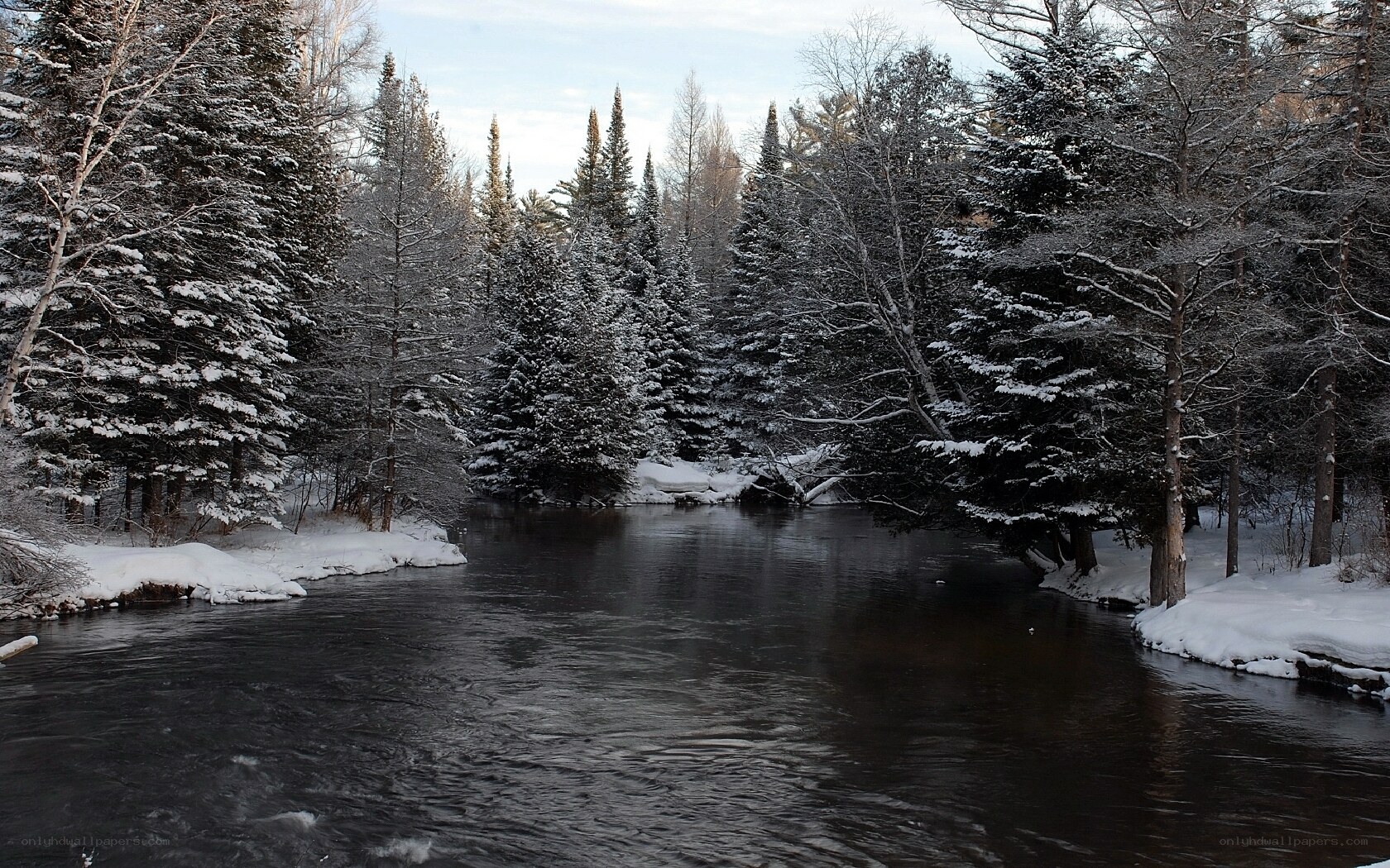 snowy river in winter forest