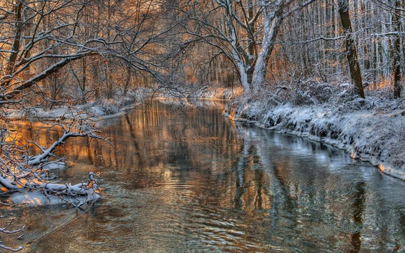 Snowy river in winter forest