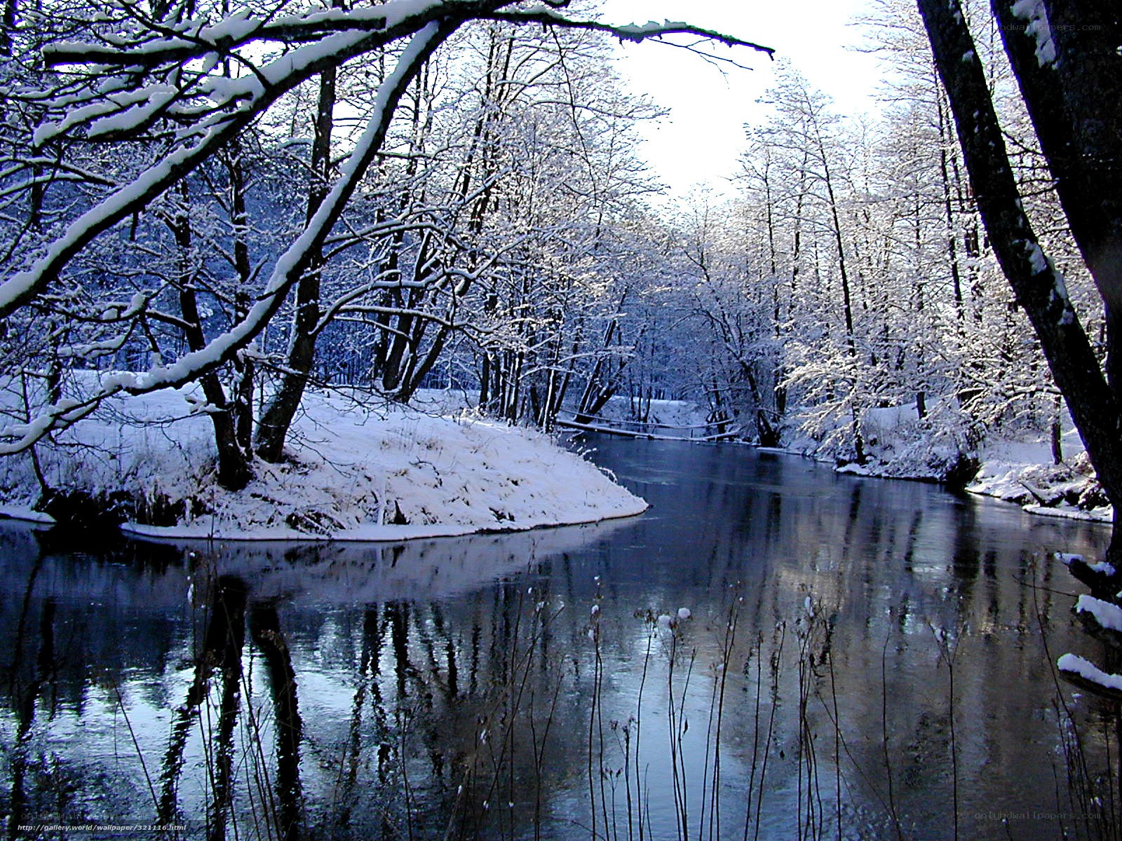 Snowy river in winter forest