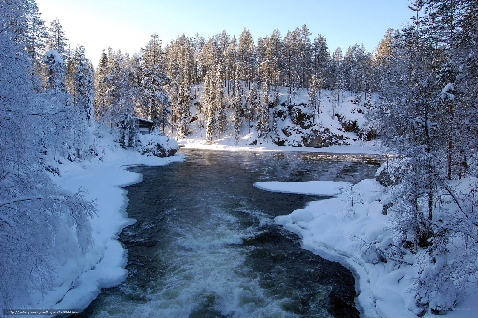 Snowy river in winter forest