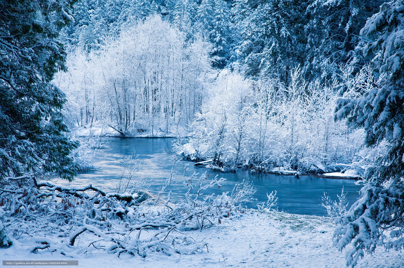 Snowy river in winter forest