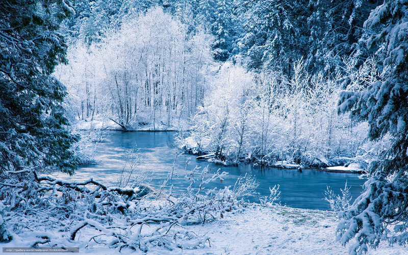Snowy river in winter forest