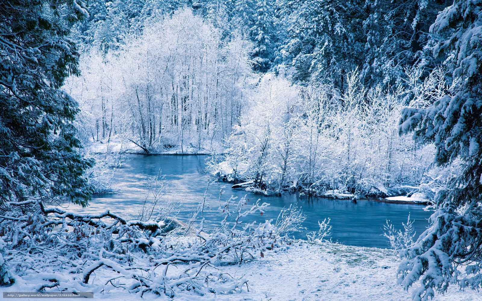 Snowy river in winter forest