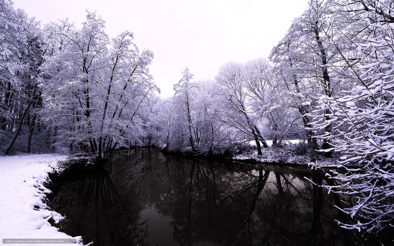 Snowy river in winter forest