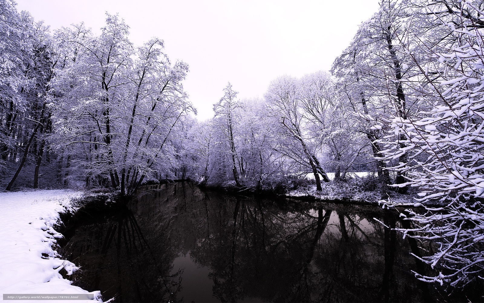 Snowy river in winter forest