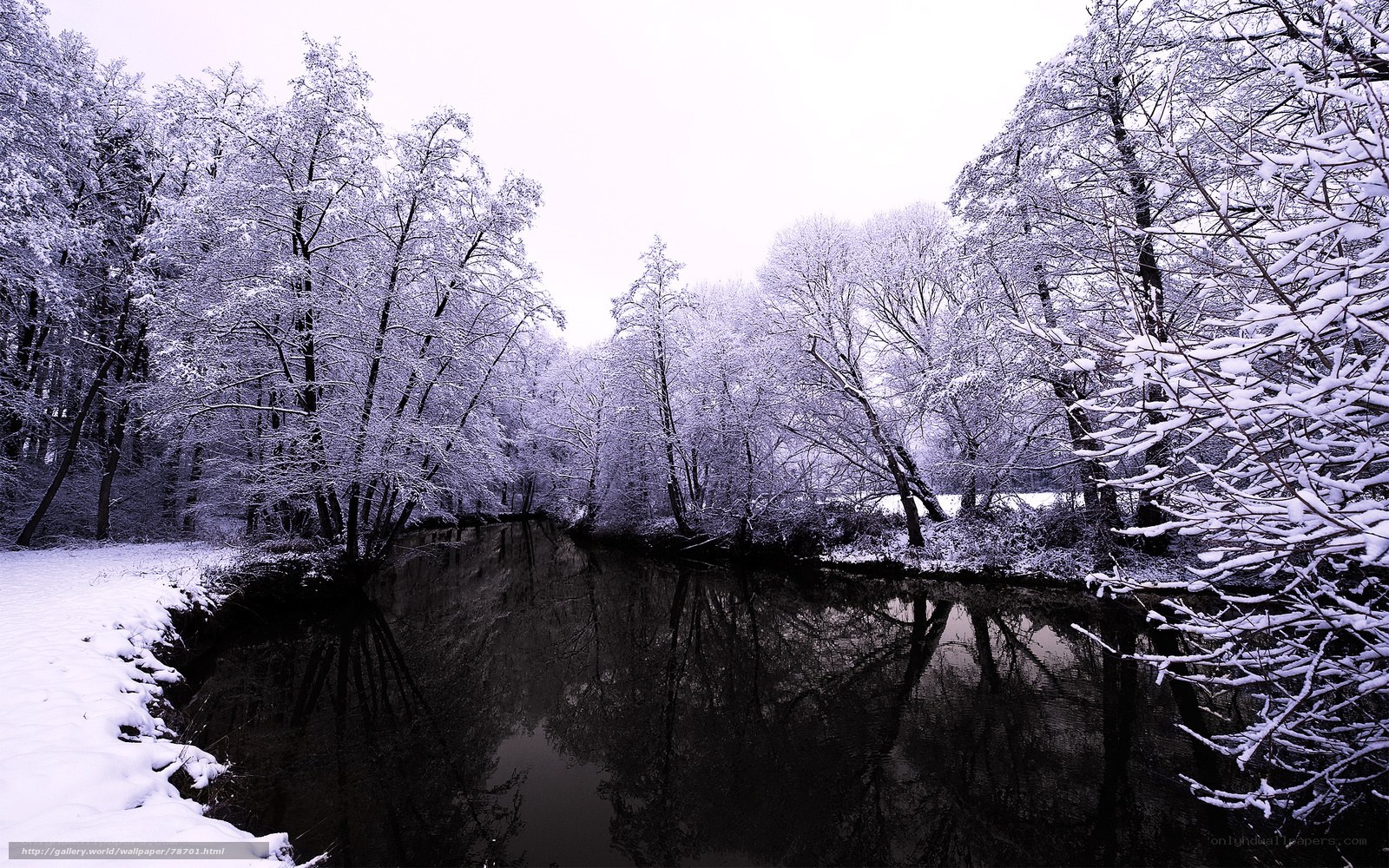 Snowy river in winter forest