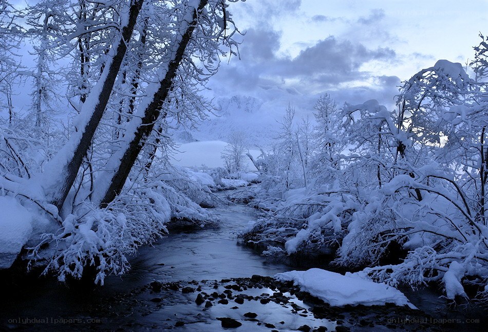 Snowy river in winter landscape