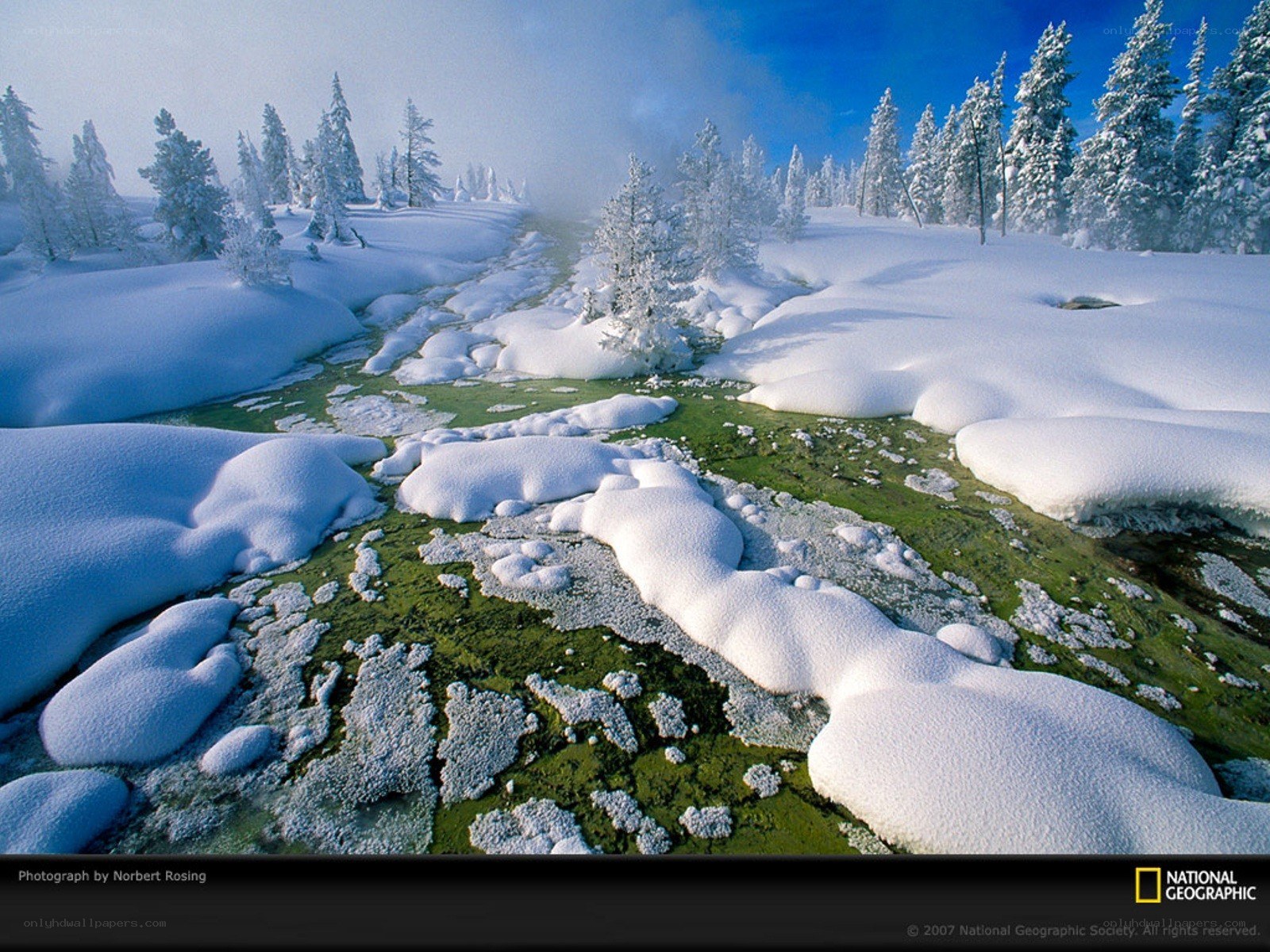 Snowy river in winter landscape