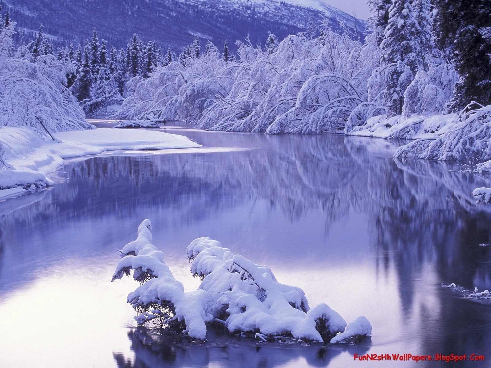 Snowy river in winter landscape