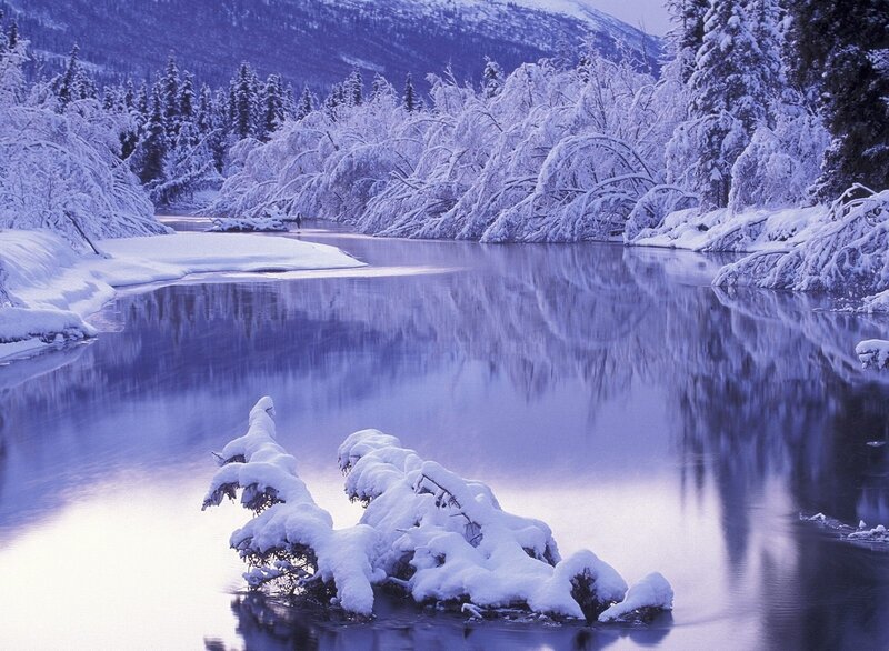 Snowy river in winter landscape