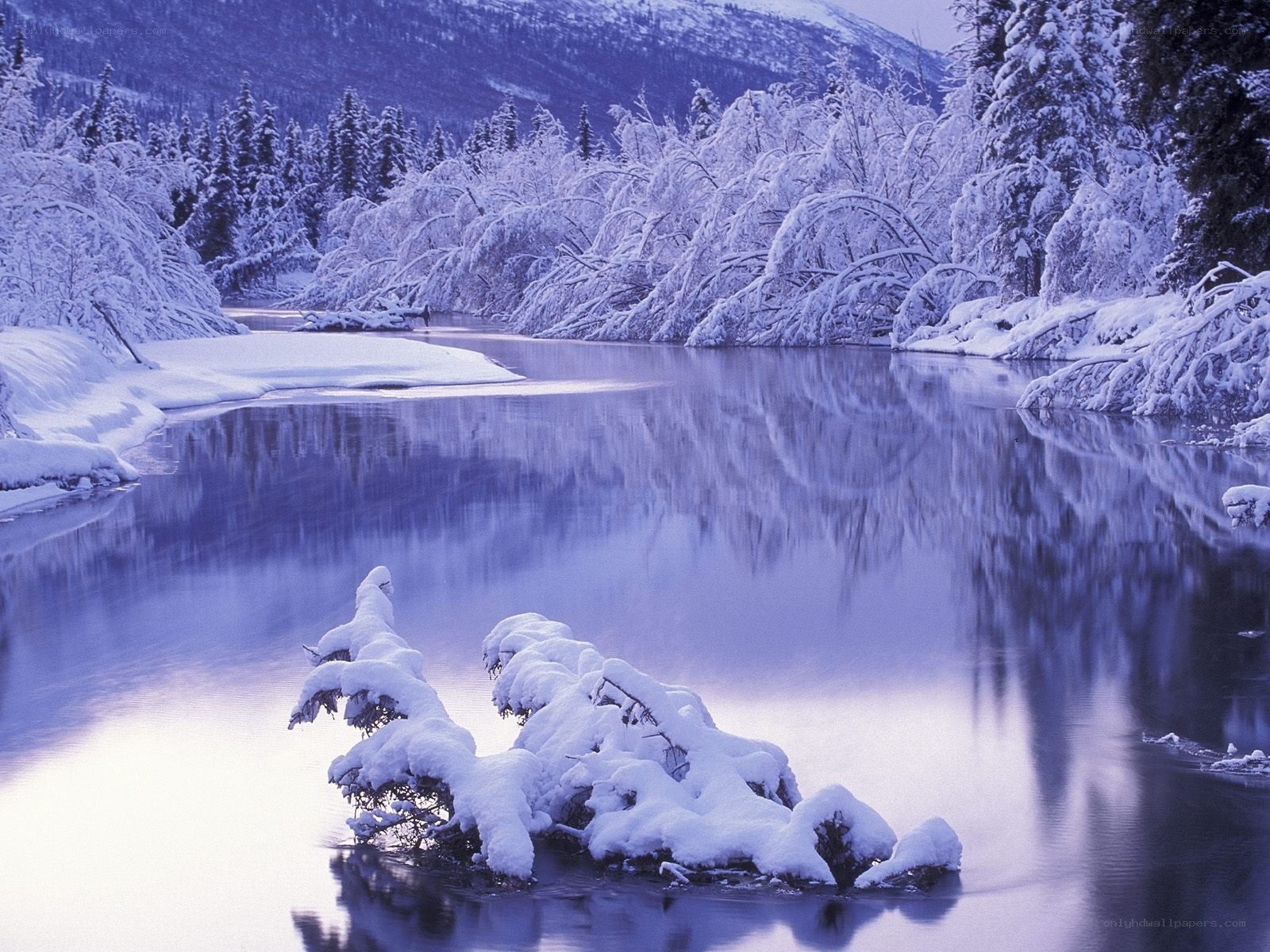 Snowy river in winter landscape