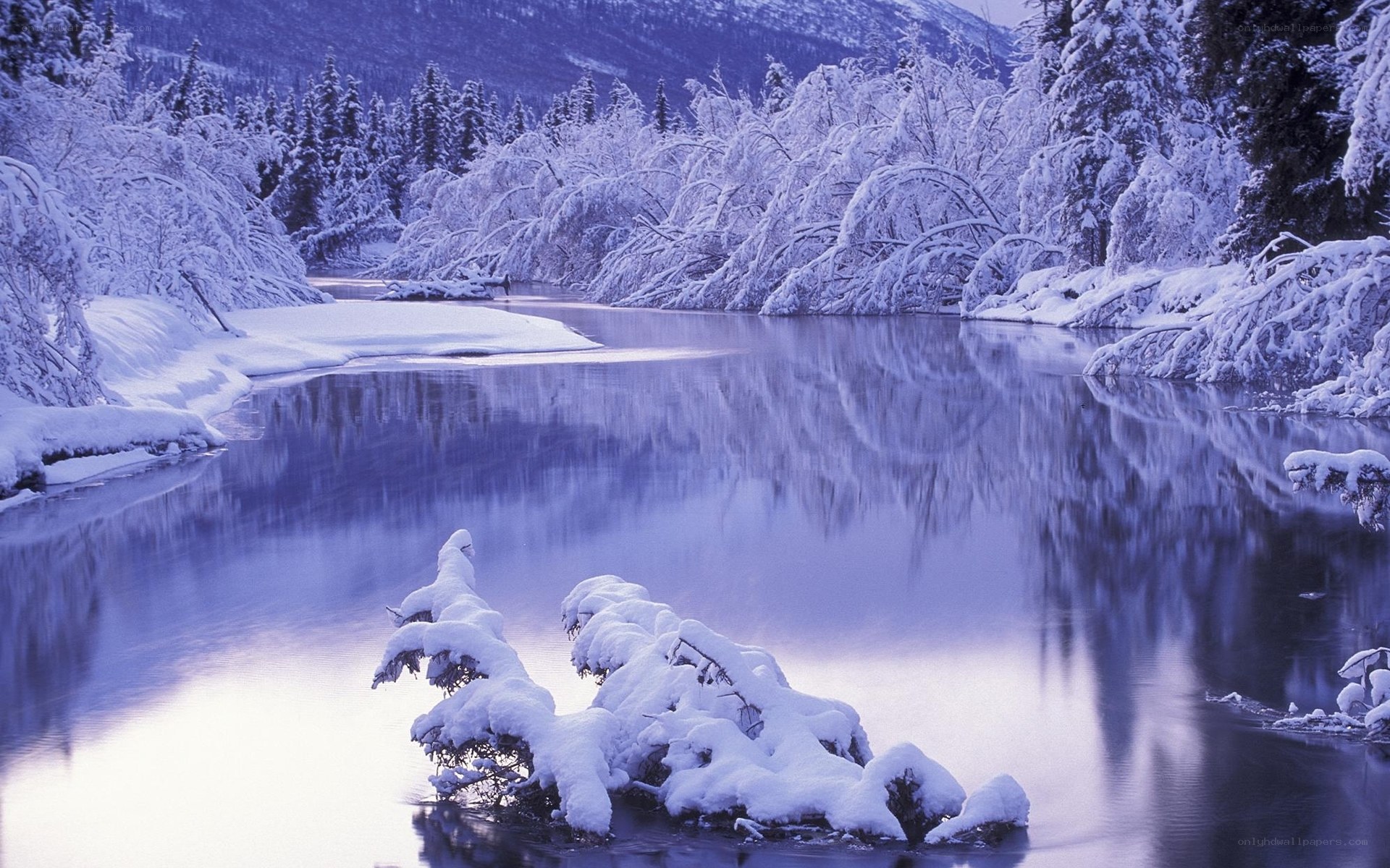 Snowy river in winter landscape
