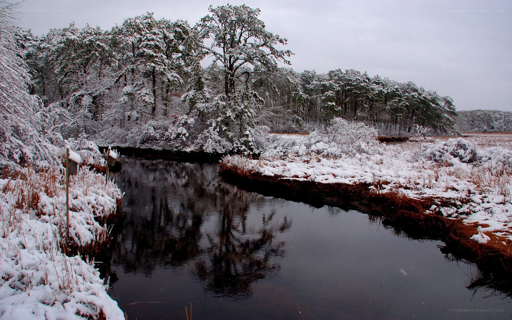 Snowy river in winter landscape