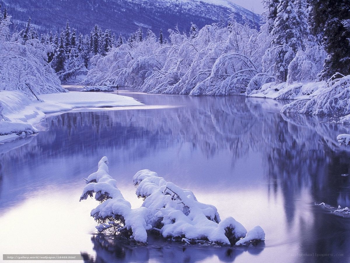Snowy river in winter landscape