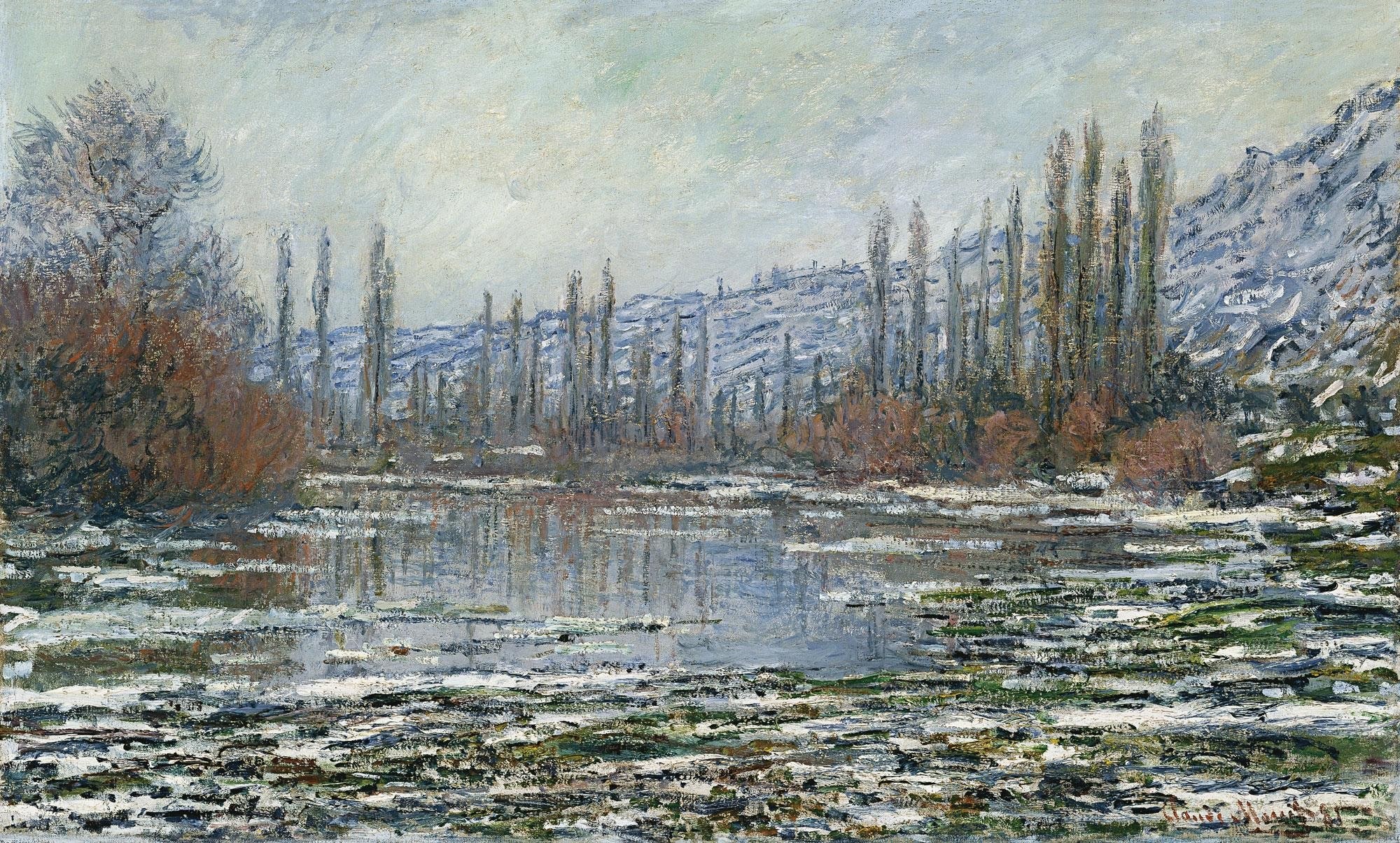 Snowy River Landscape