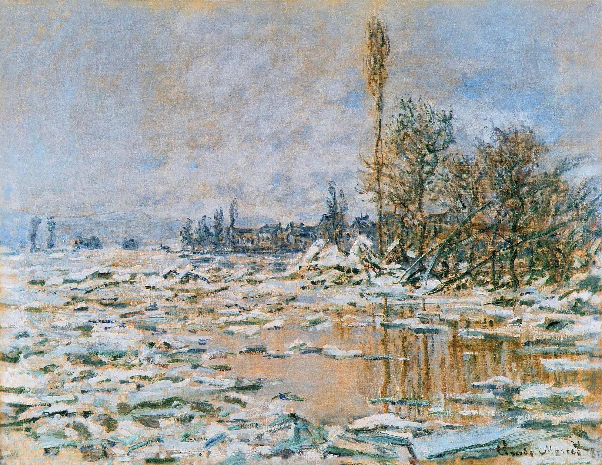 Snowy River Landscape