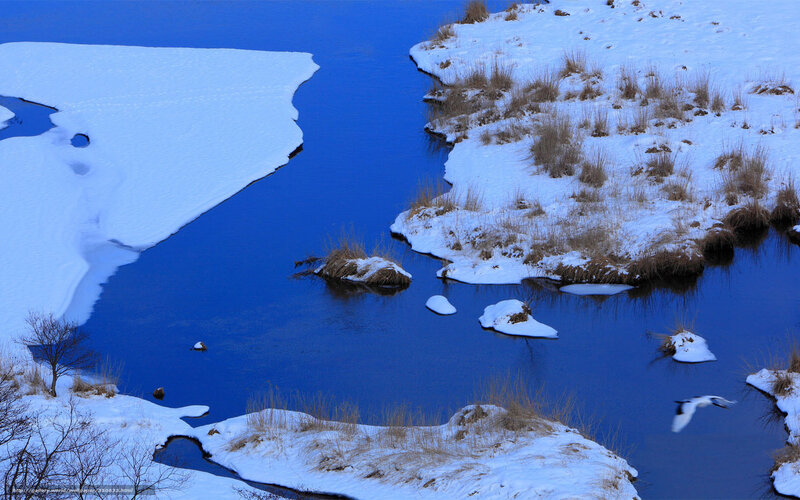Snowy river landscape with bird