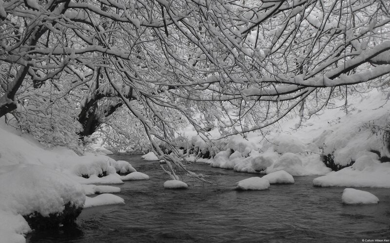 Snowy river under bare branches