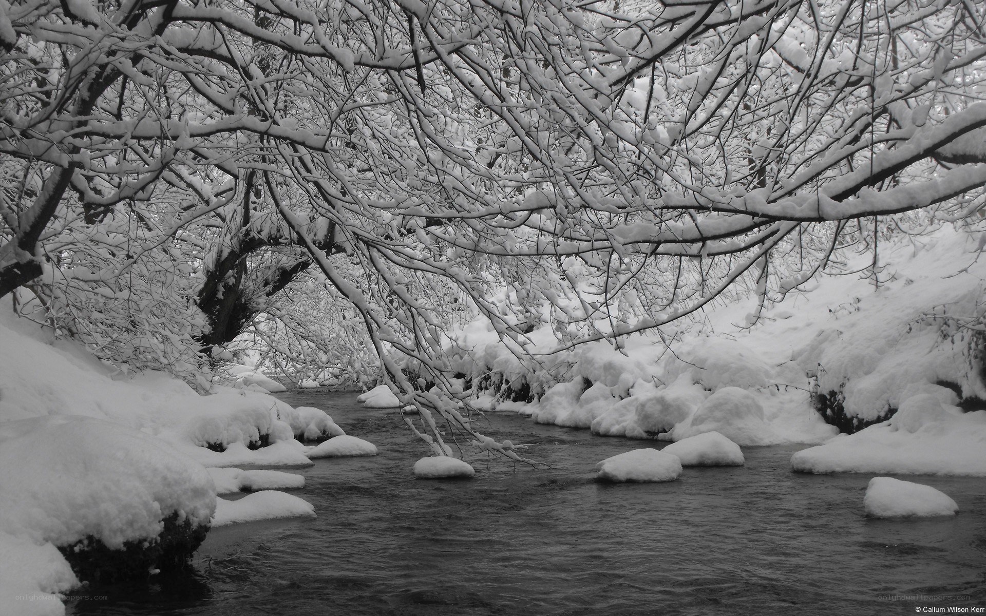 Snowy river under bare branches