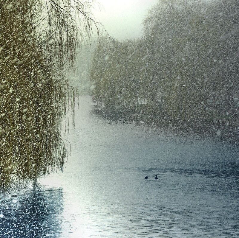 Snowy River with Ducks