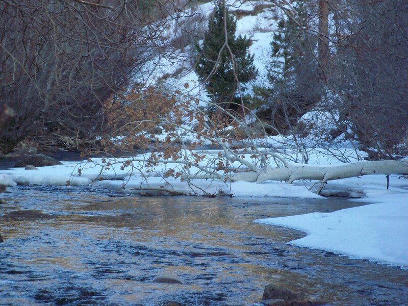 Snowy river with fallen tree