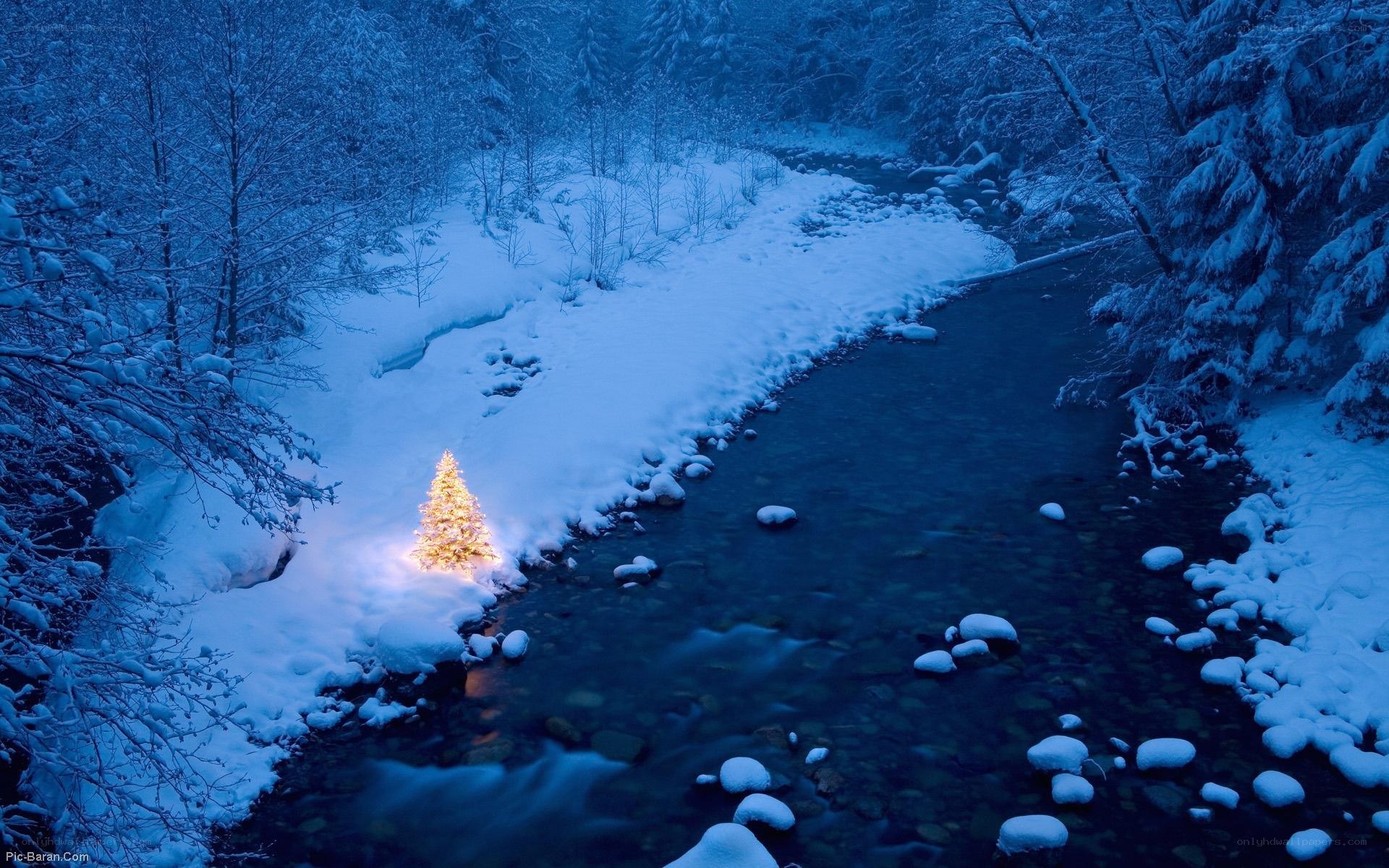 Snowy river with lit tree