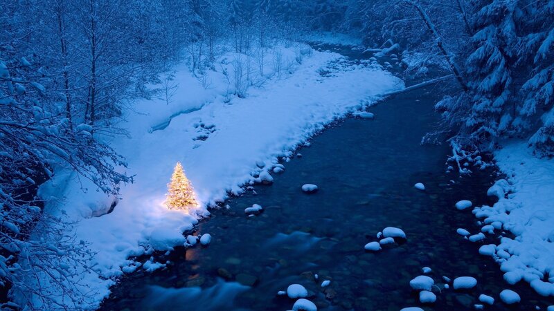 Snowy river with lit tree