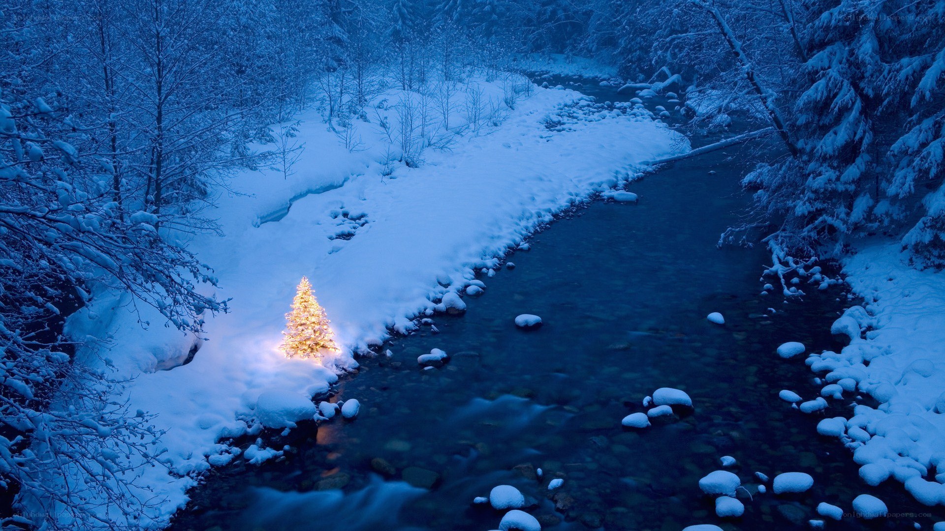 Snowy river with lit tree