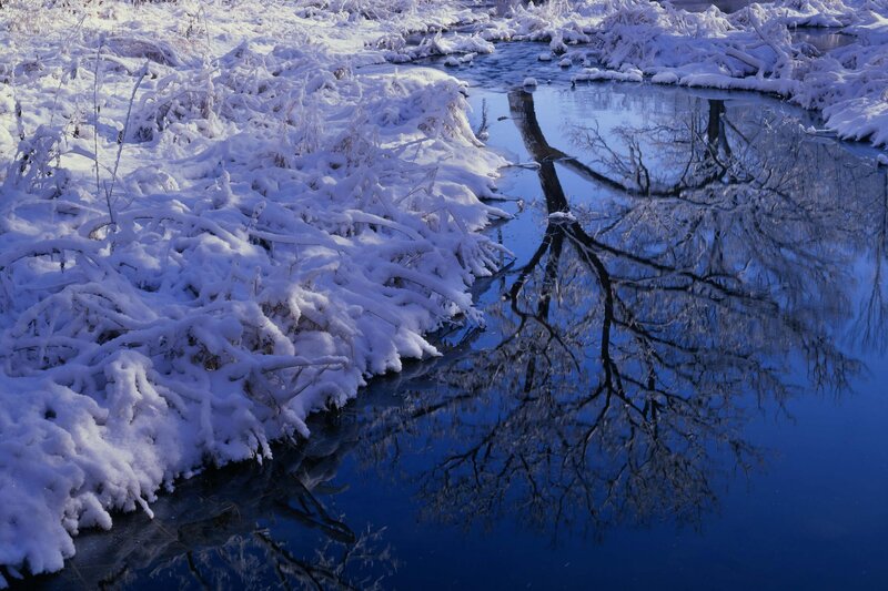 Snowy river with tree reflection