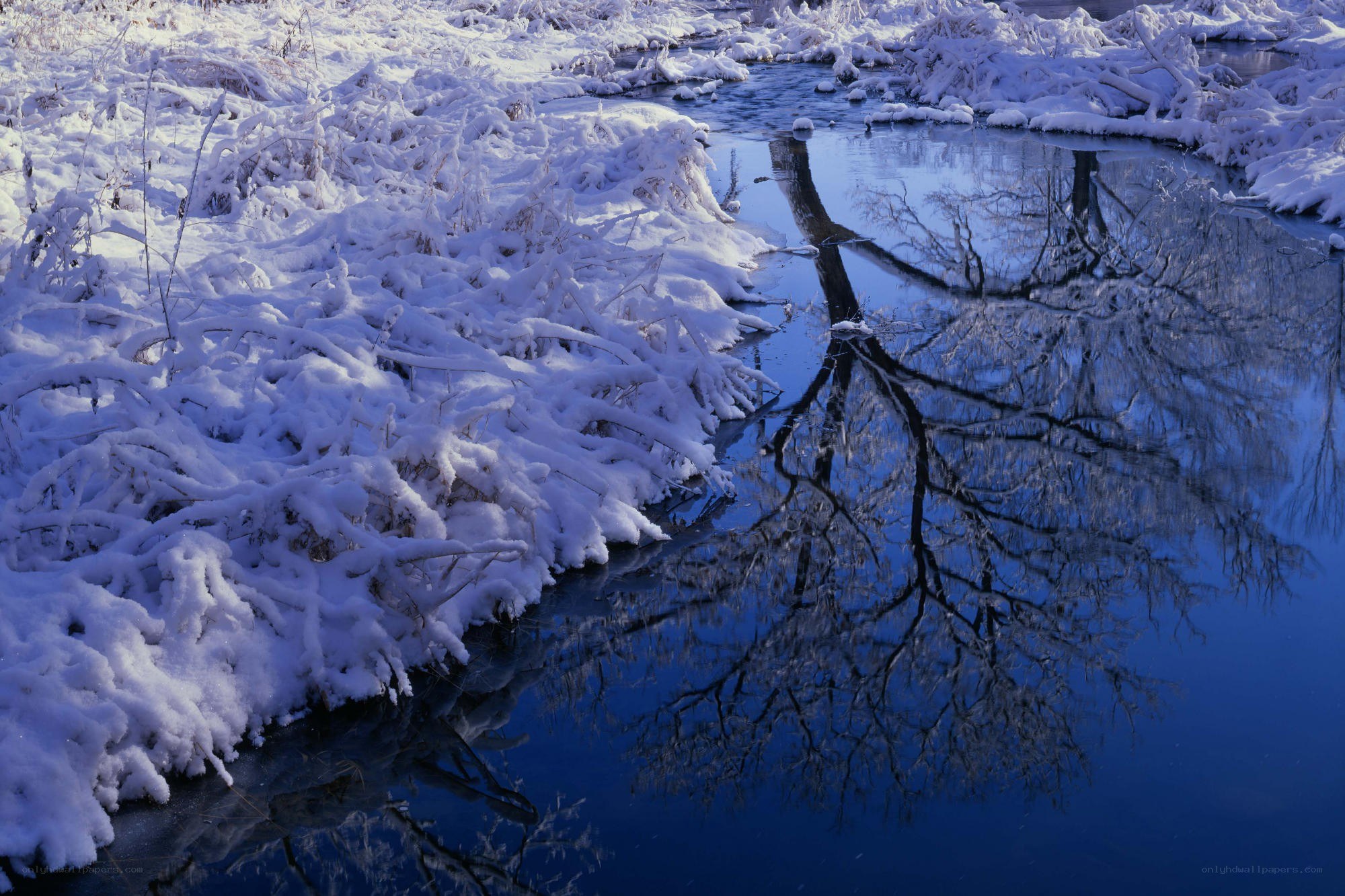 Snowy river with tree reflection