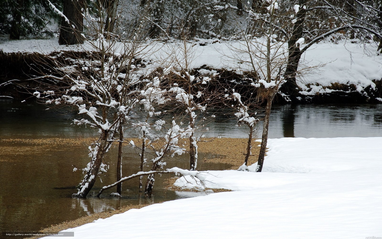 Snowy riverbank in winter