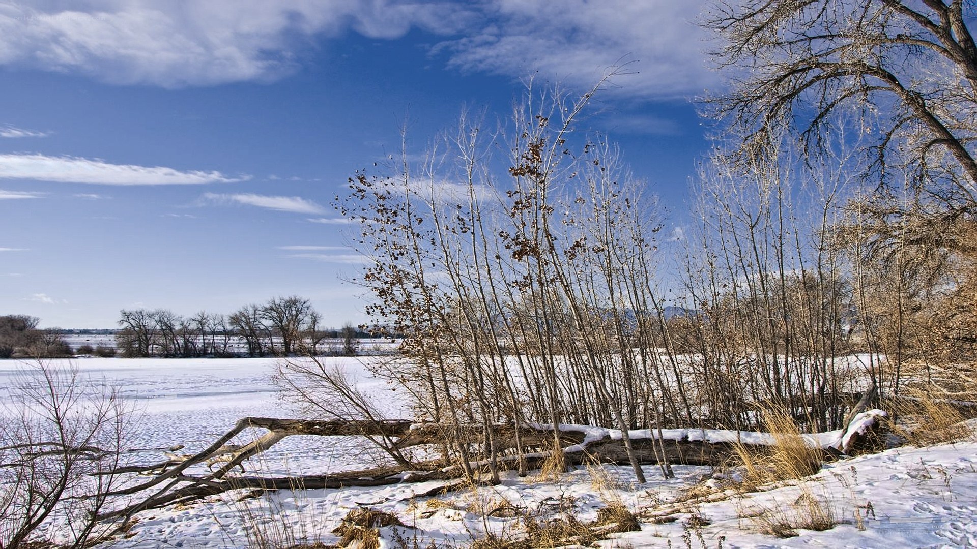 Snowy riverbank in winter