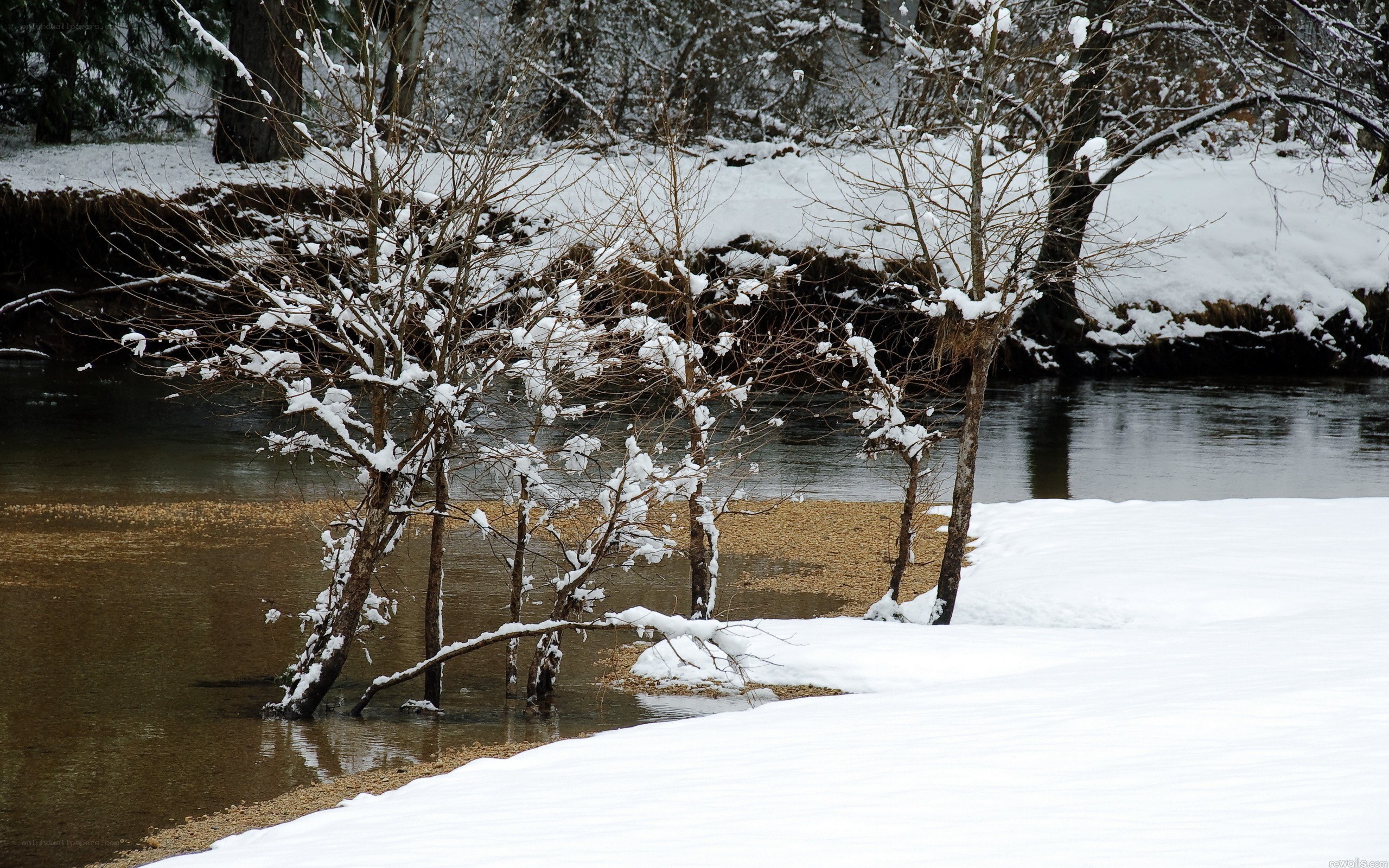 Snowy riverbank with bare trees