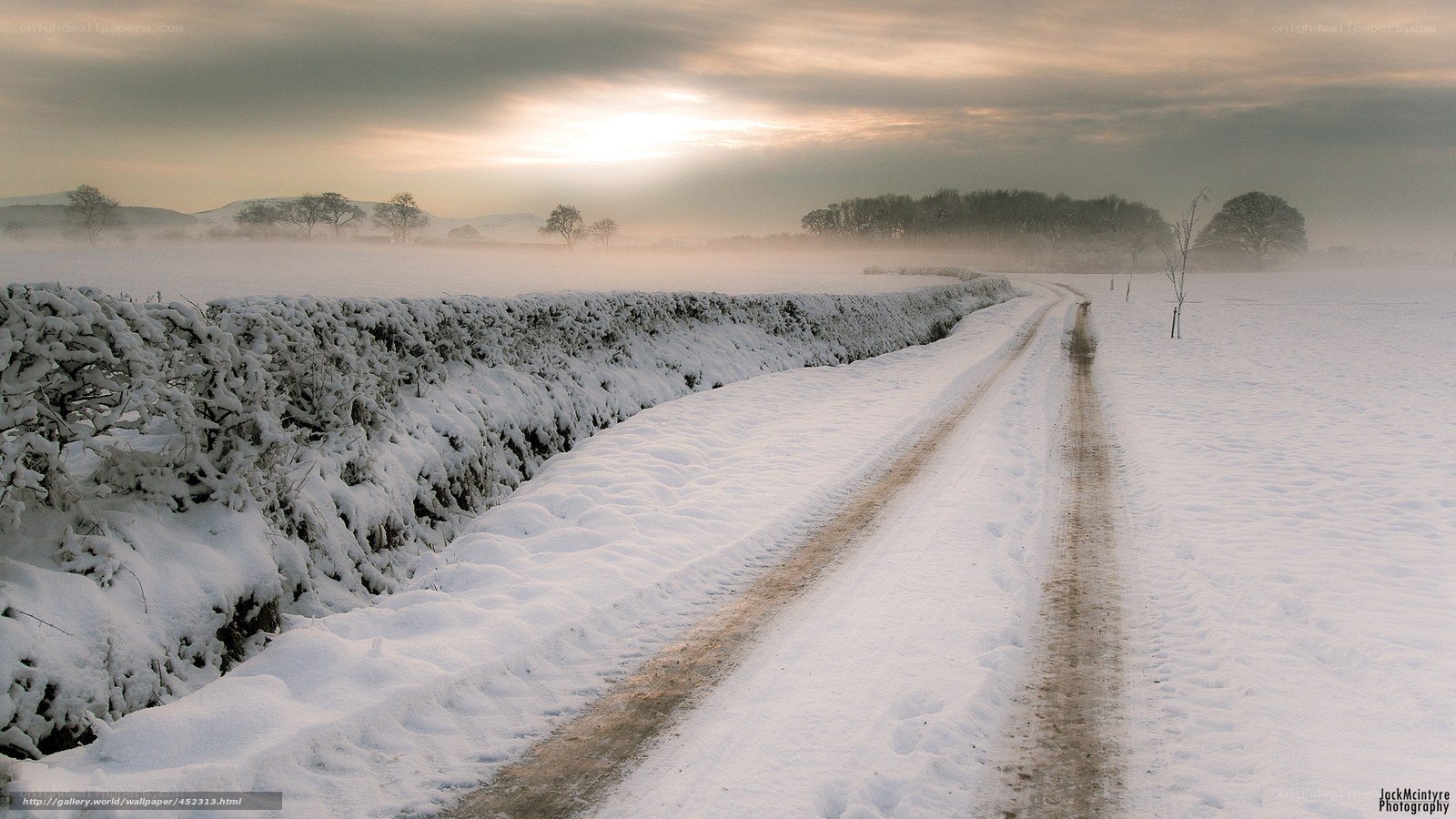 Snowy Road at Dawn