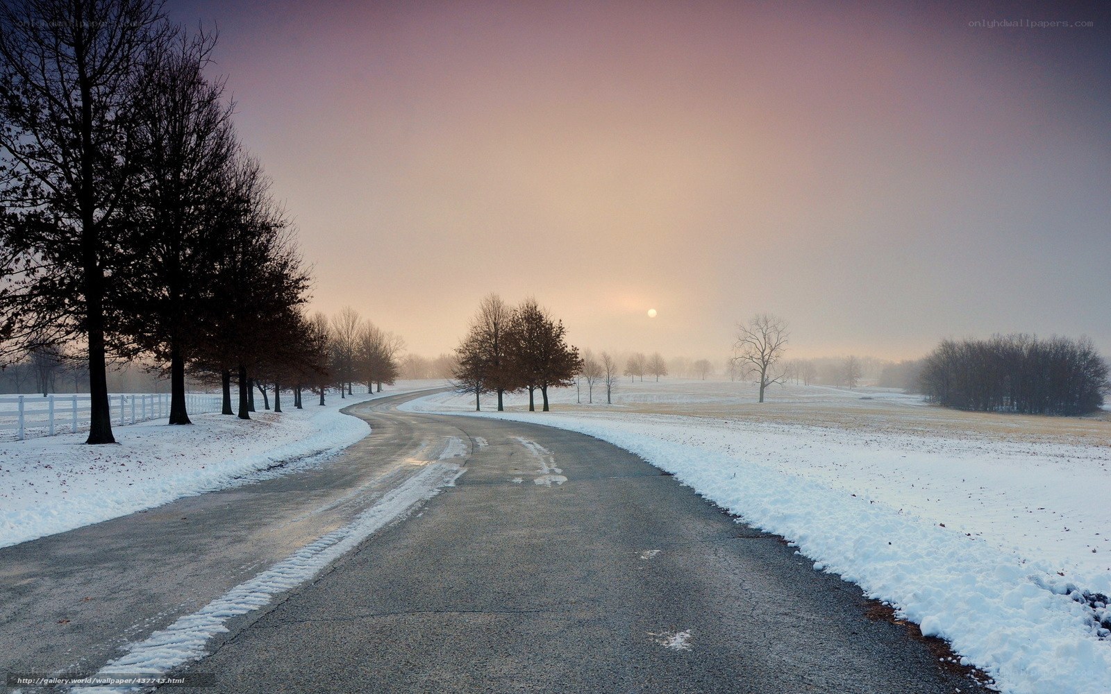Snowy Road at Dawn