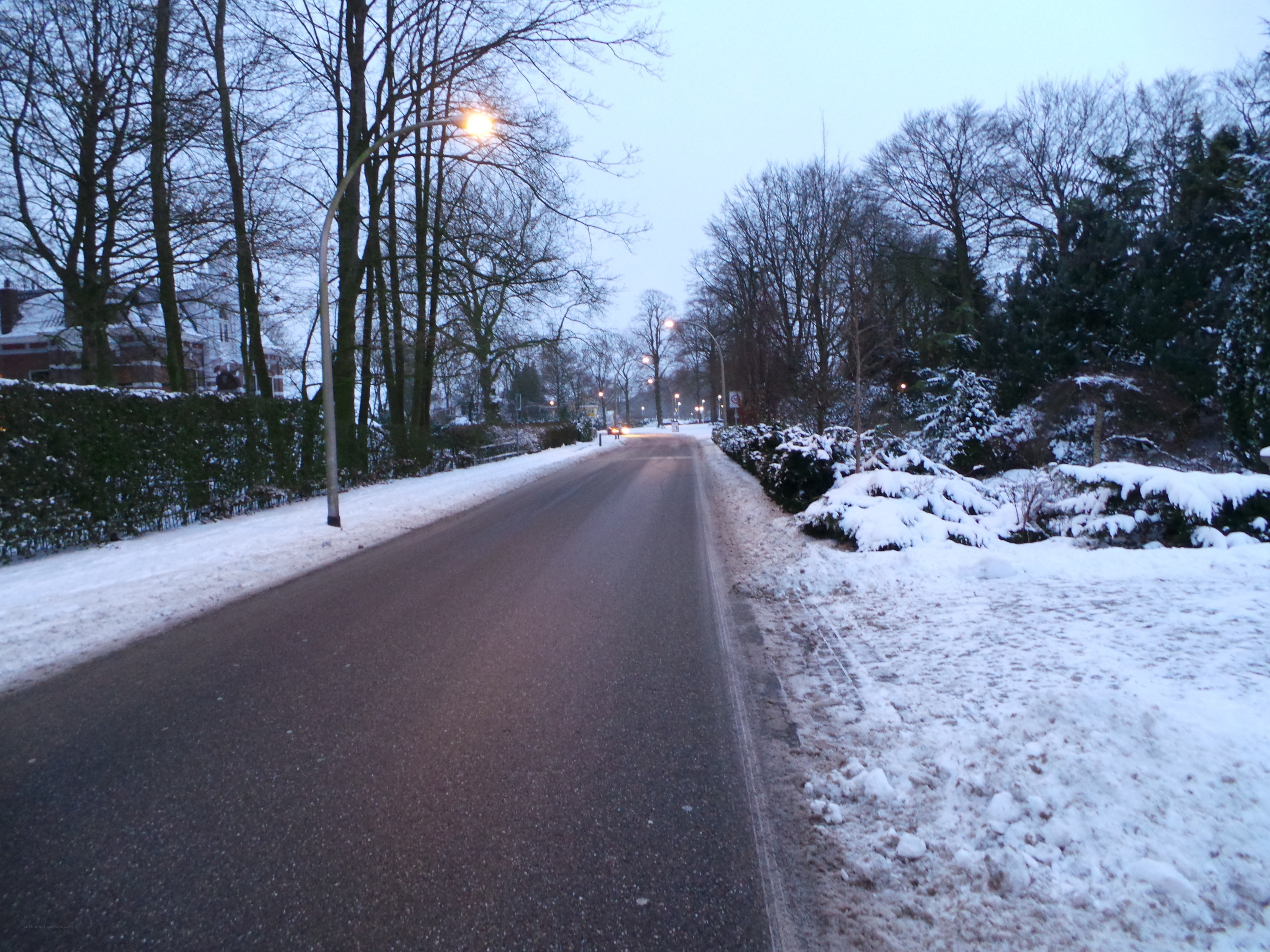 Snowy road at dusk
