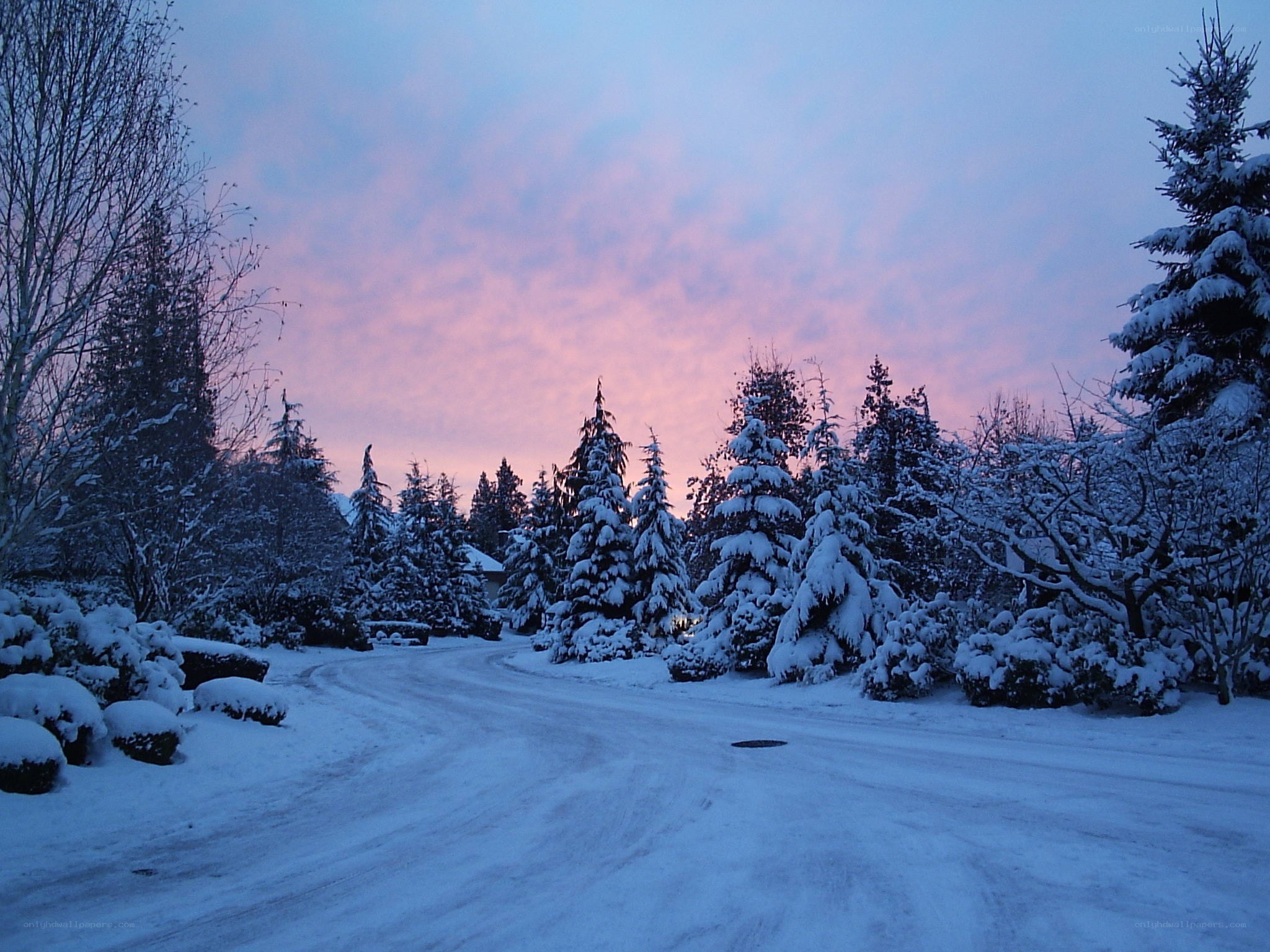 Snowy road at dusk