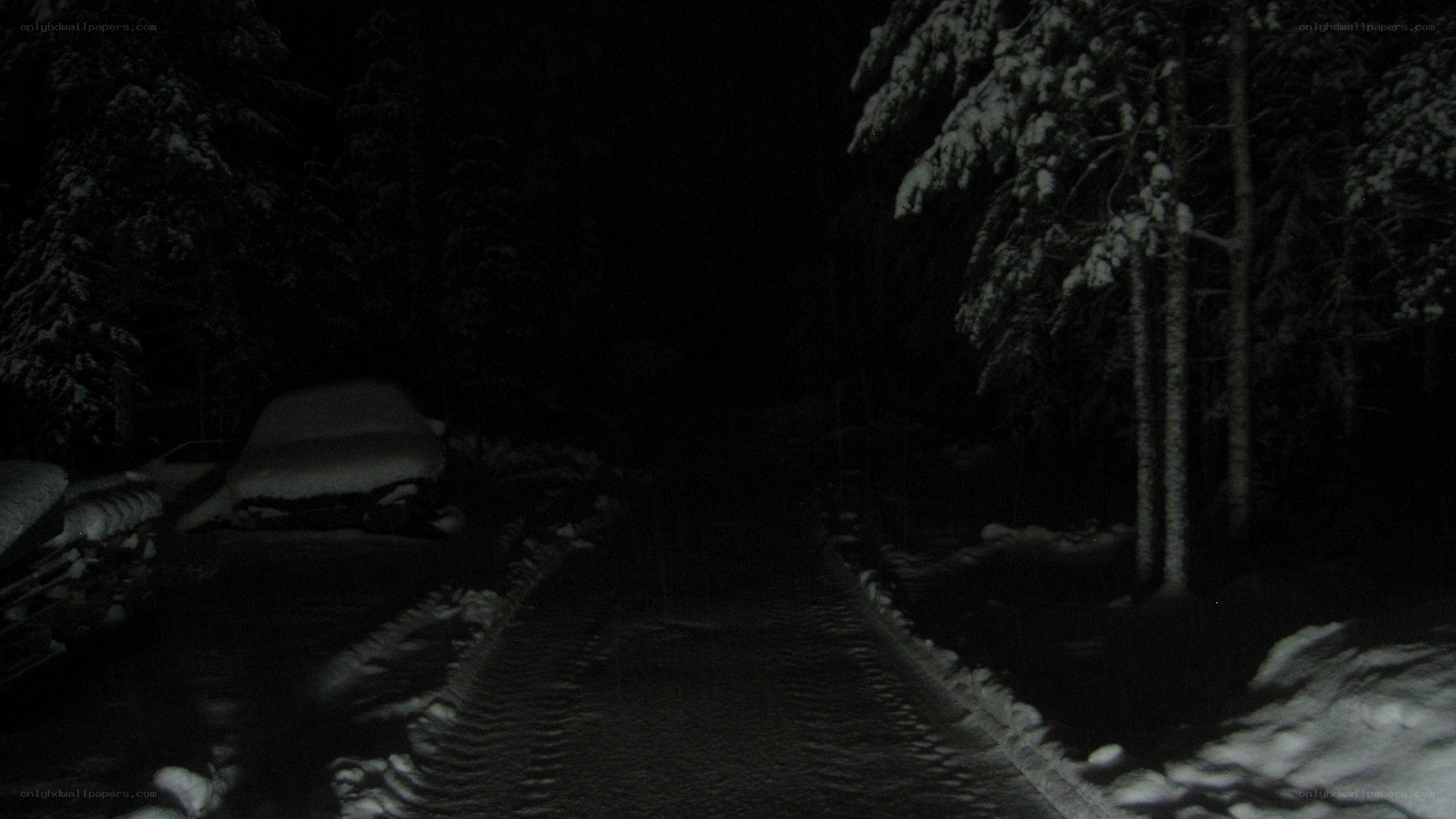 snowy road at night