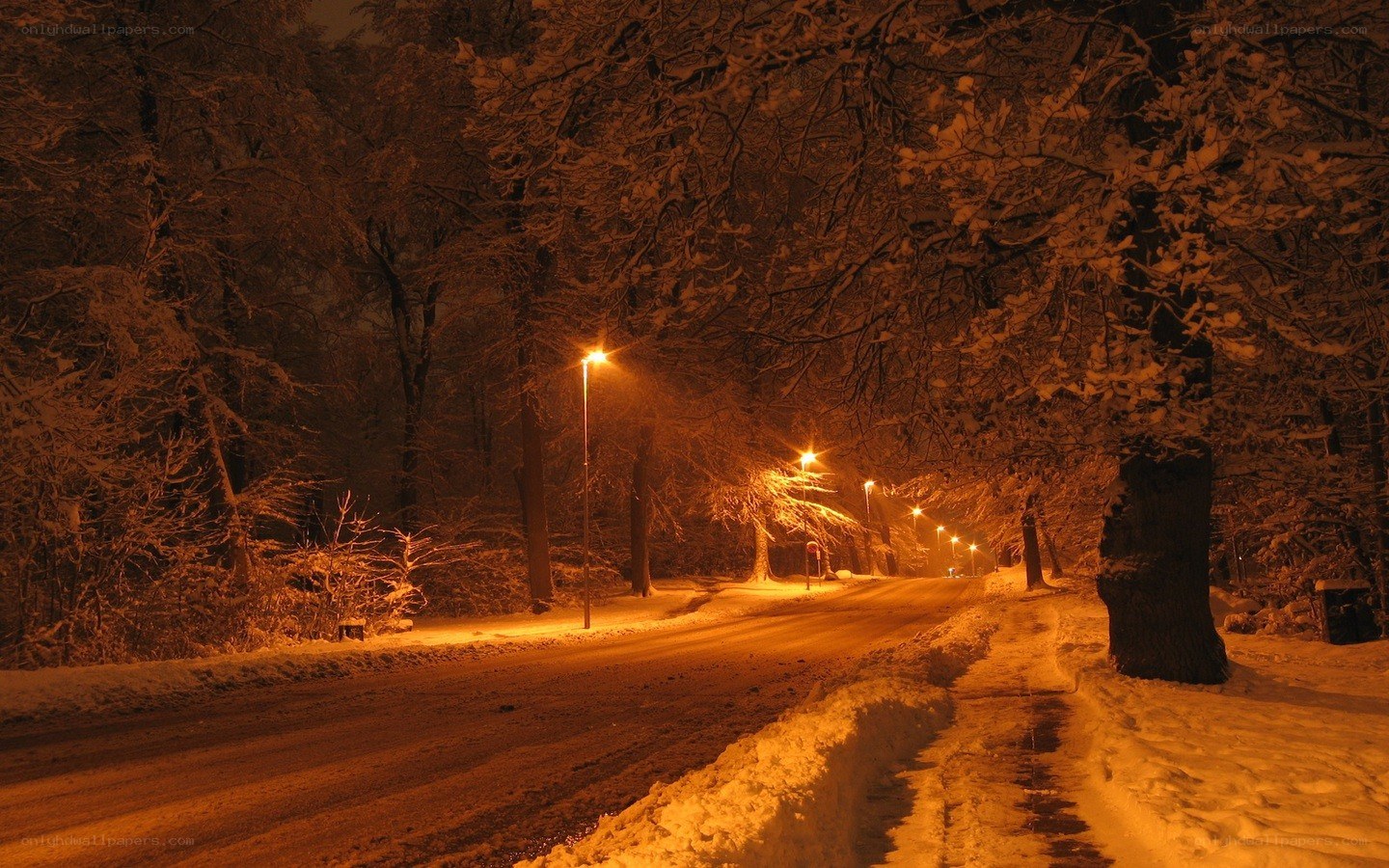 snowy road at night