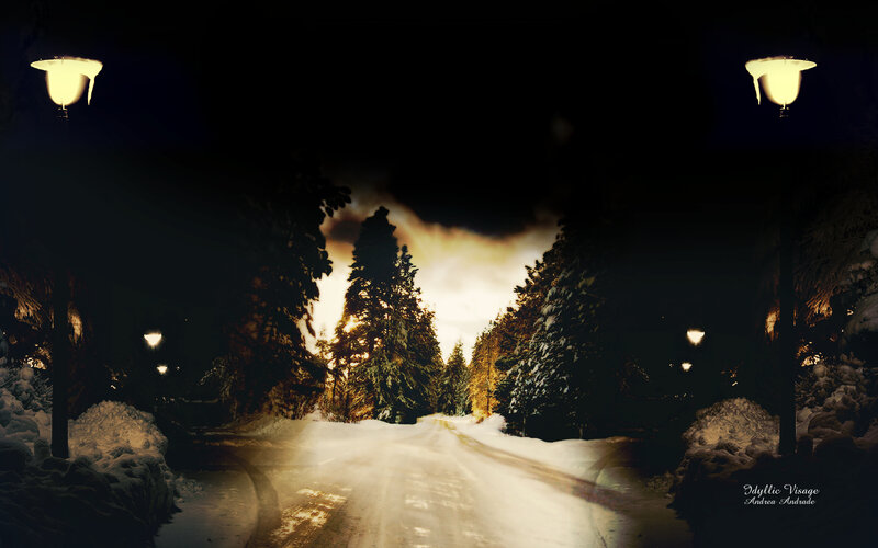 Snowy Road at Night