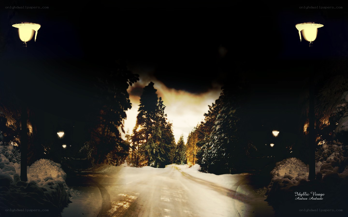 Snowy Road at Night