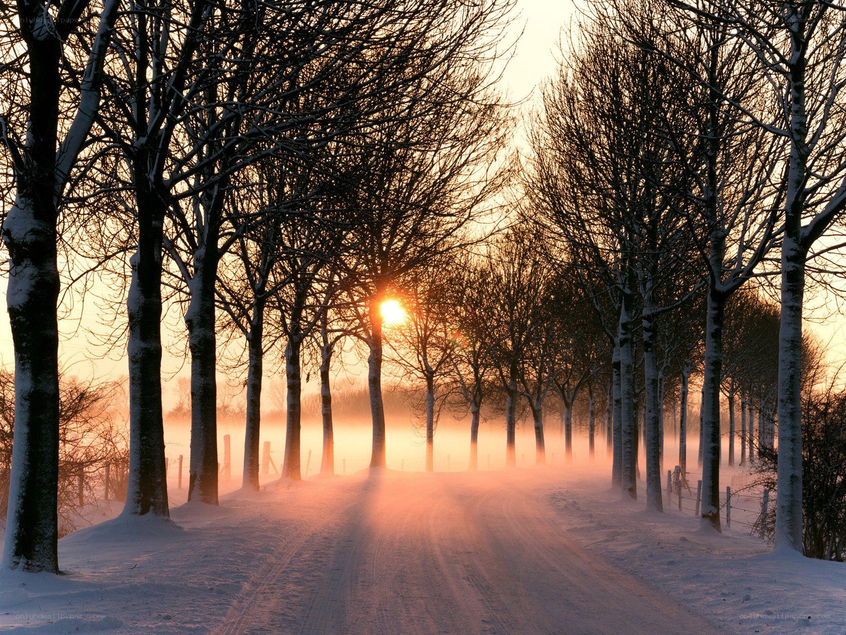 Snowy road at sunrise
