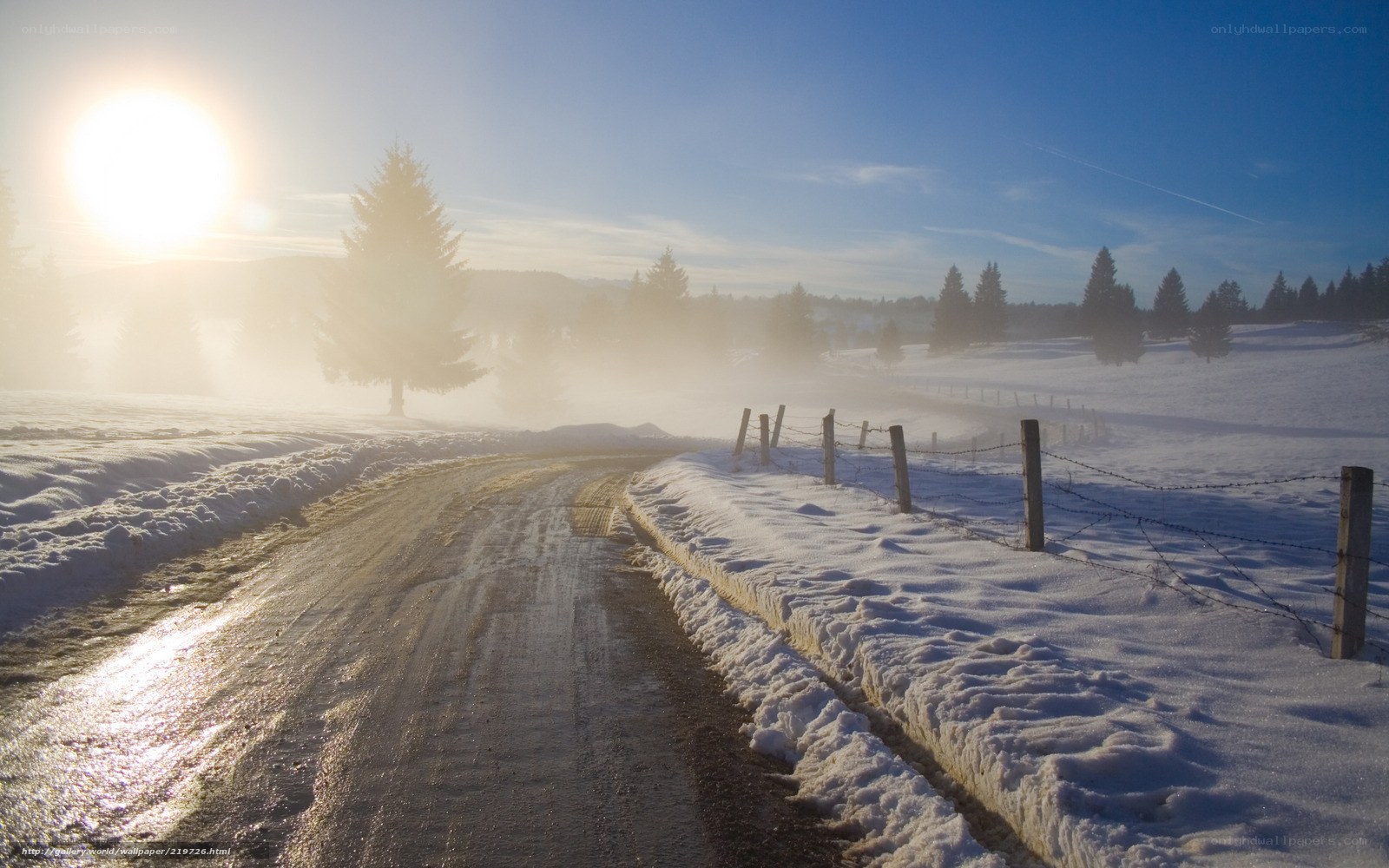 Snowy Road at Sunrise