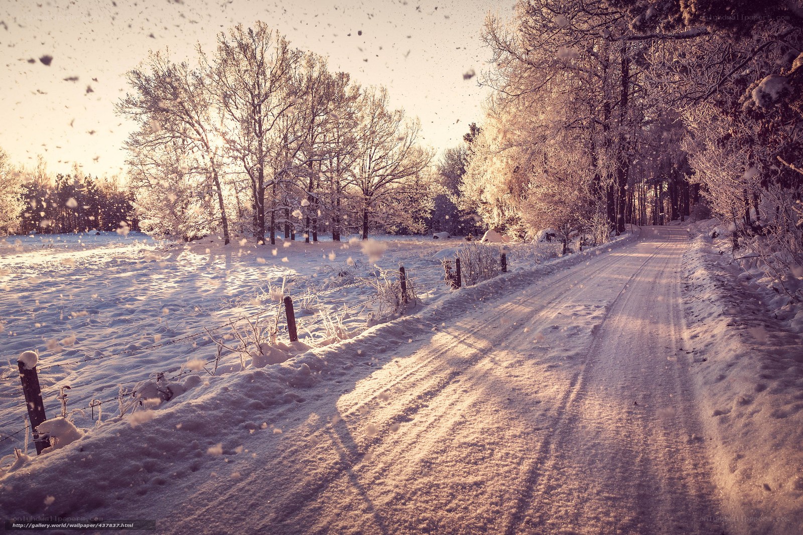 Snowy Road at Sunset