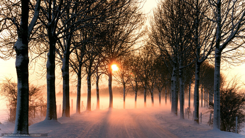 Snowy Road at Sunset