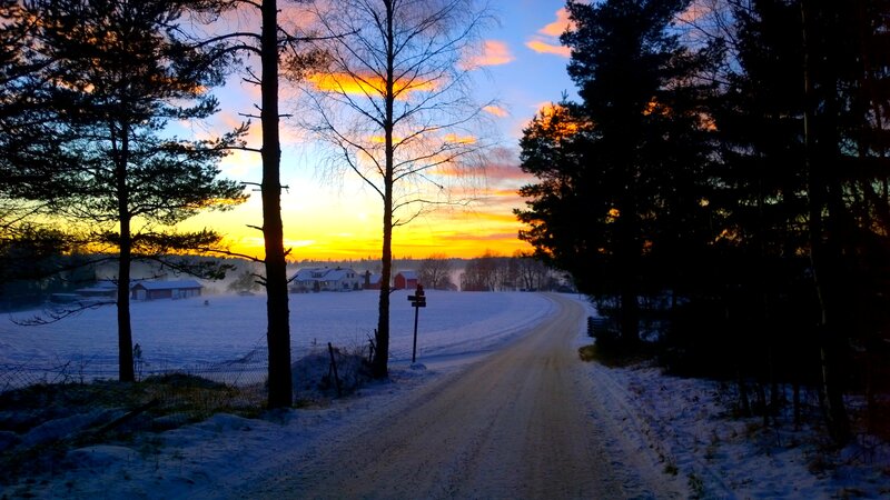 Snowy Road at Sunset — Yellow, Serene