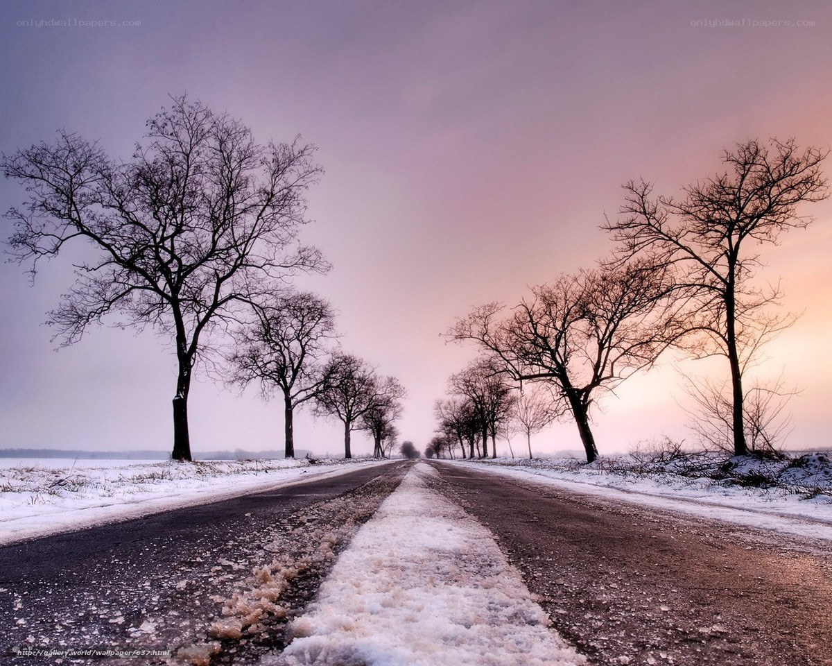 Snowy Road at Sunset