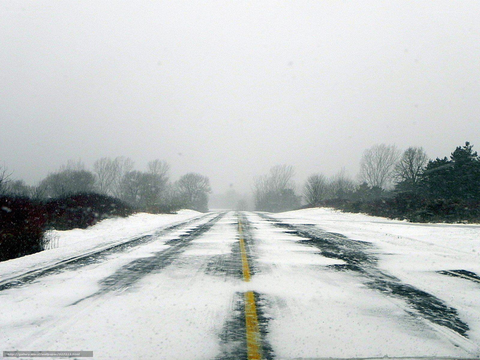 snowy road during a storm