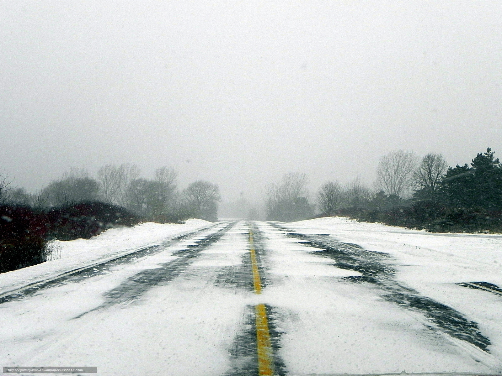 snowy road during a storm